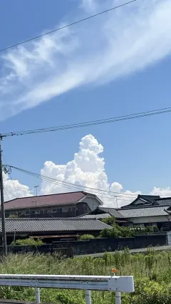 購入品紹介のショート動画UGC例